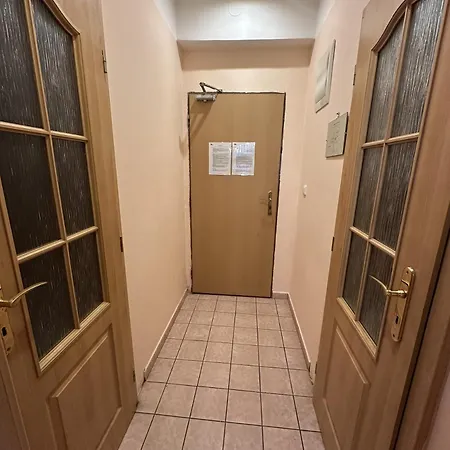 Dubík