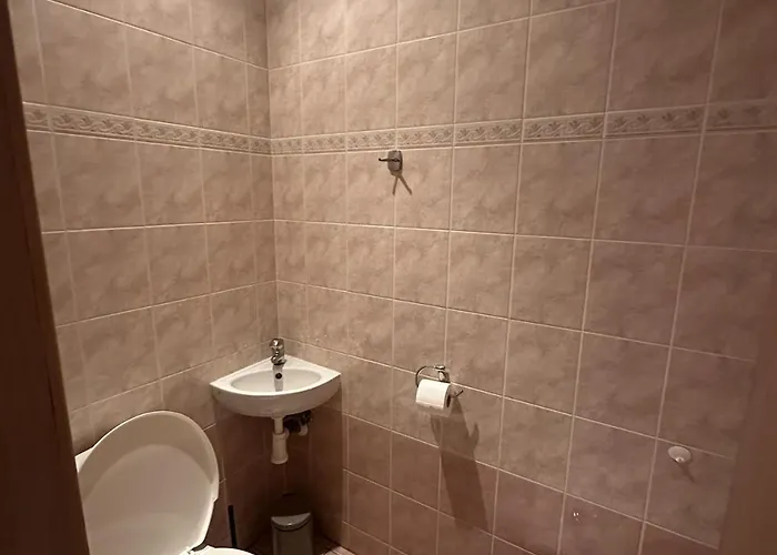 Dubik Dubí
